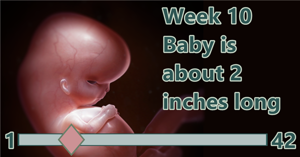 BirthWatch ticker week for 10