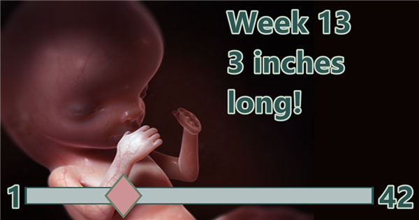 BirthWatch ticker week for 13