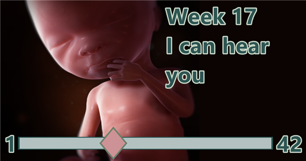 BirthWatch ticker week for 17