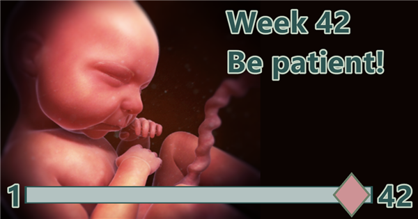 birthwatch-week-42-by-allowing-your-baby-birthwatch