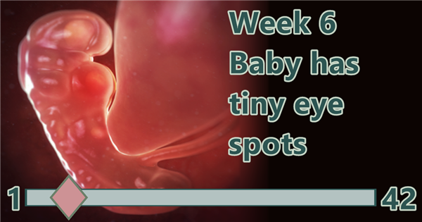 BirthWatch ticker week for 6